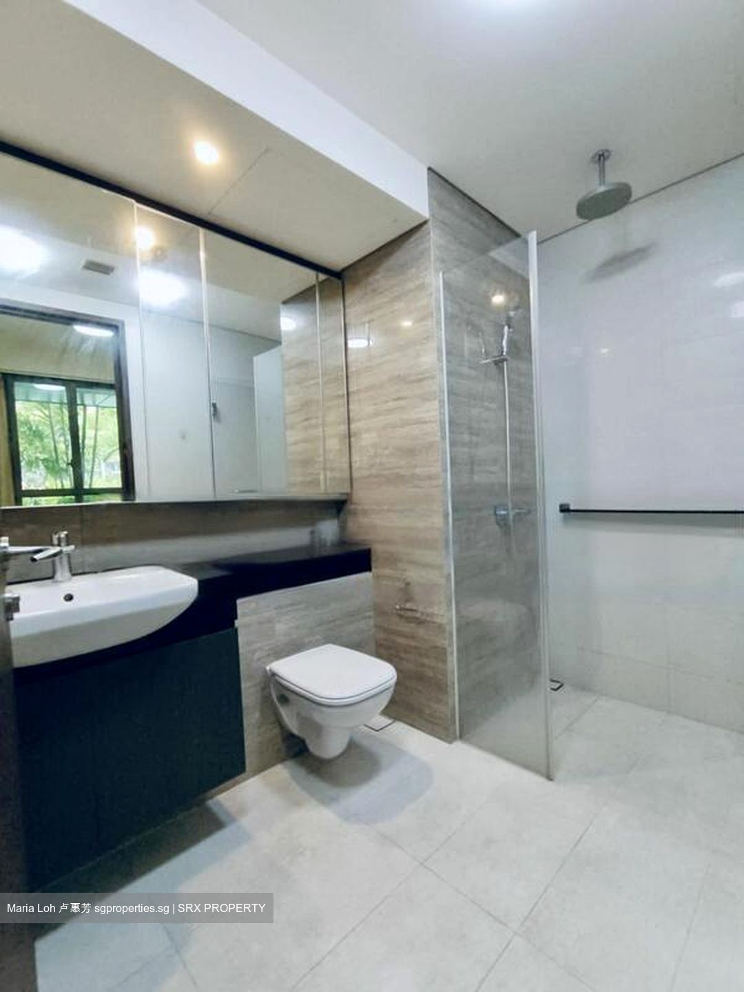 Park Place Residences At Plq (D14), Apartment #459034021